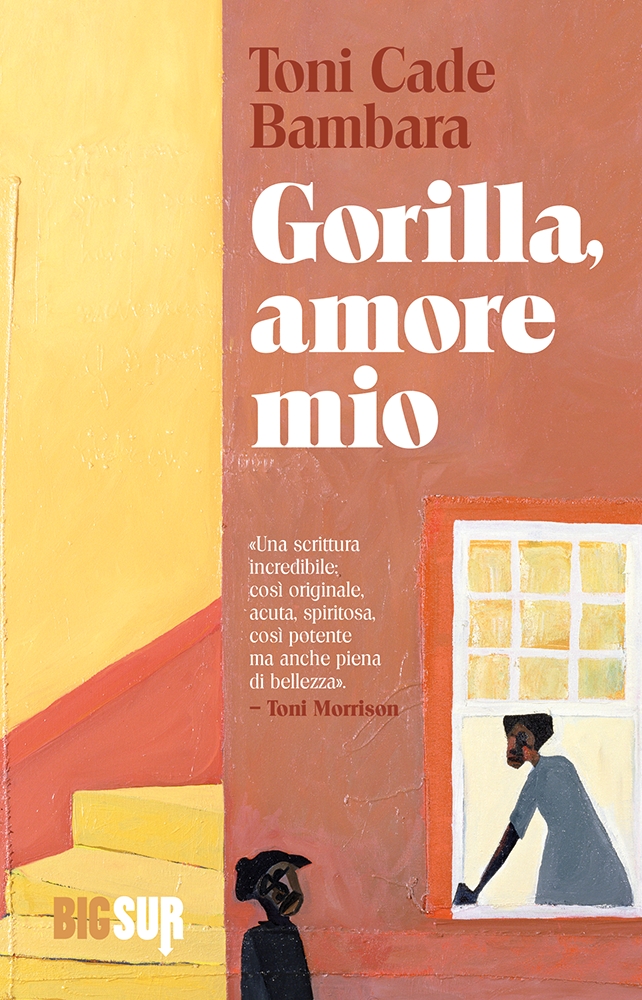 Gorilla, amore mio