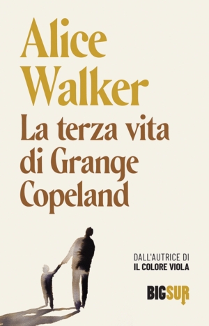 Alice Walker - Il colore viola – piudiunlibro