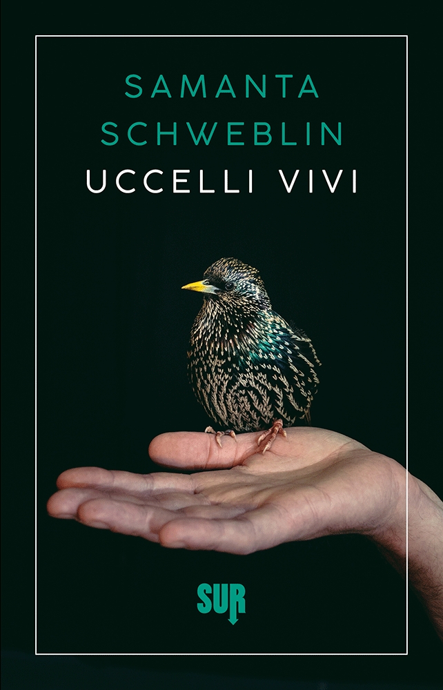 Uccelli vivi