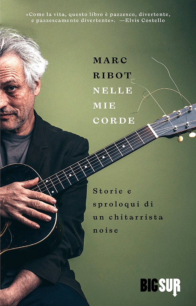 Nelle mie corde. Storie e sproloqui di un chitarrista noise